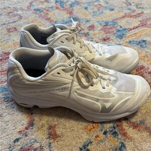 Mizuno Volleyball Shoes